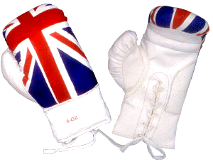 flag boxing gloves