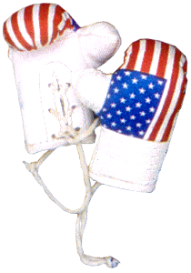Flag Boxing Glove