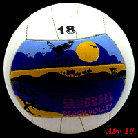 volley ball beach volley ball